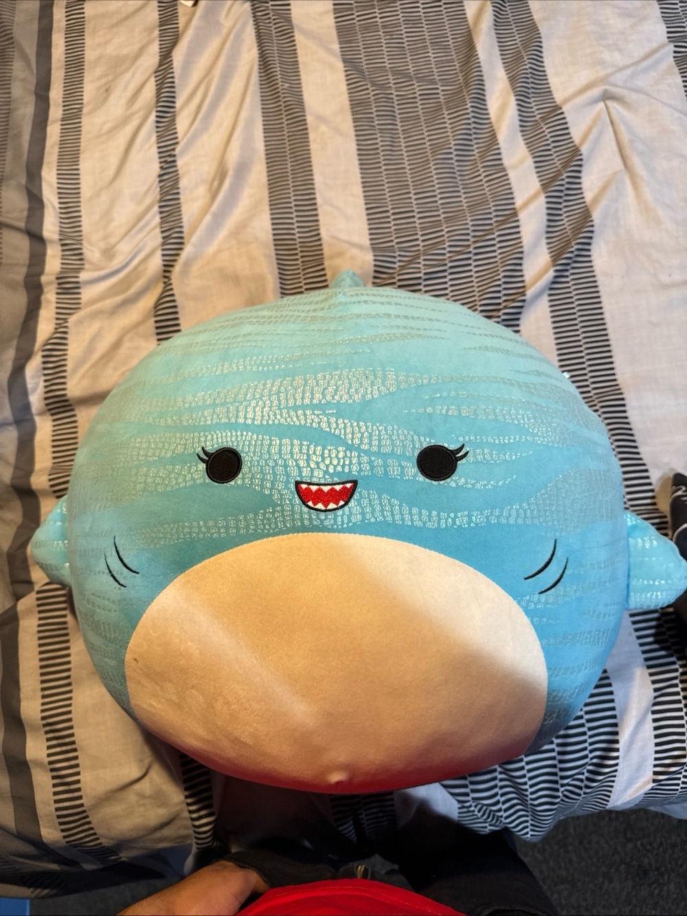 Squishmallows Blue and Cream Shark Plush